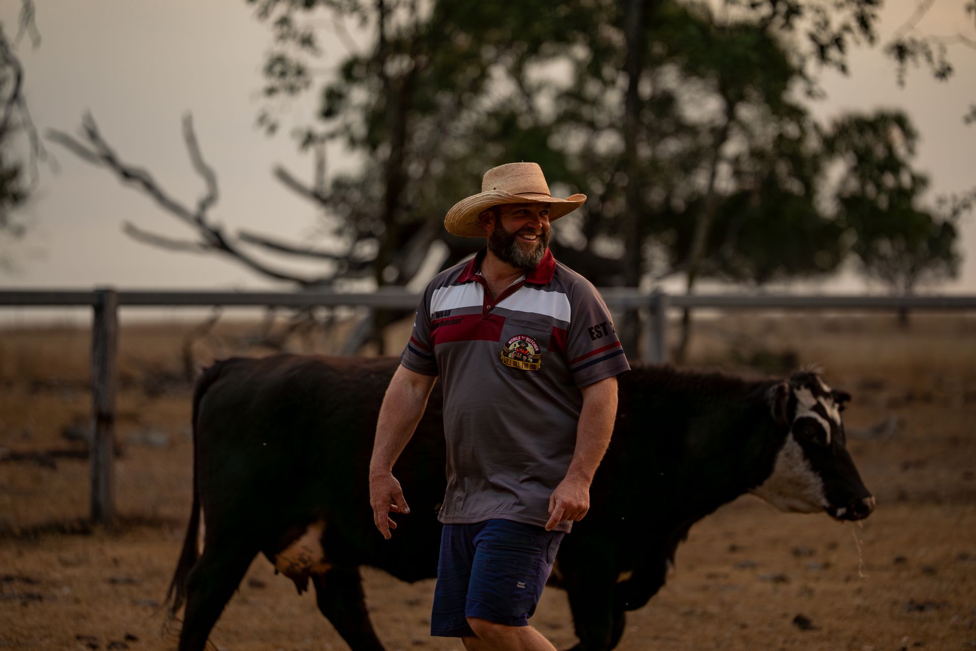 Will Kill For You - Quality Meat Suppliers